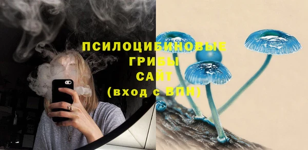 mdpv Пестово