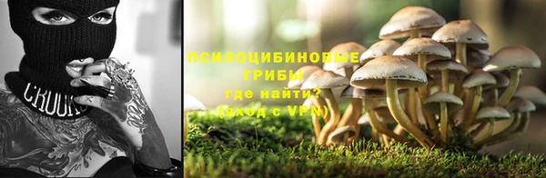 дурь Переславль-Залесский