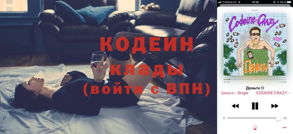 хмурый Гатчина