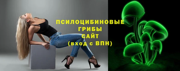 амф Осташков