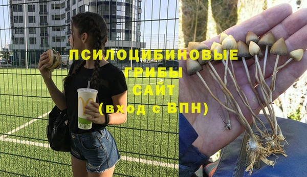 mdpv Пестово