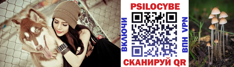 купить закладку  Ялуторовск  Псилоцибиновые грибы прущие грибы 